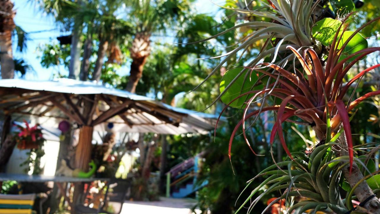 Beachpoint Cottages Siesta Key Εξωτερικό φωτογραφία