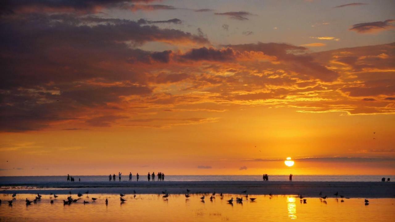 Beachpoint Cottages Siesta Key Εξωτερικό φωτογραφία
